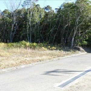 串本町潮岬土地3349-91、3349-273
